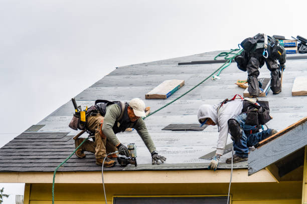 Professional Storm Damage Roof Repair technician working in Orchard, CO